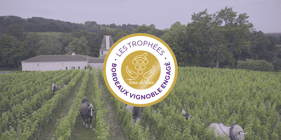 vignoble engagé