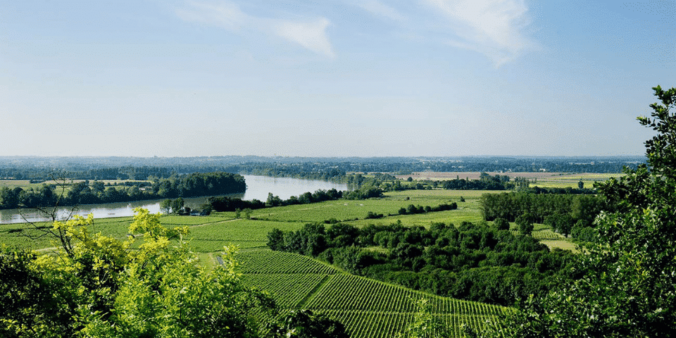 Château Vrai Canon Bouché