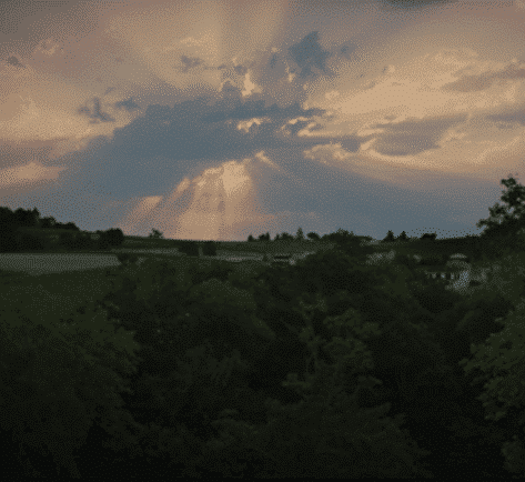 Le vivant au cœur du vignoble