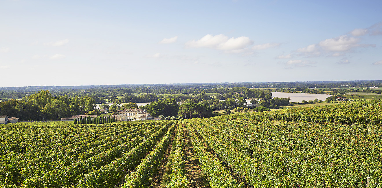 Chai château de la Dauphine
