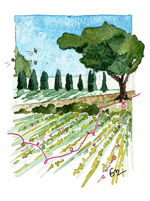 Paysage panorama aquarelle