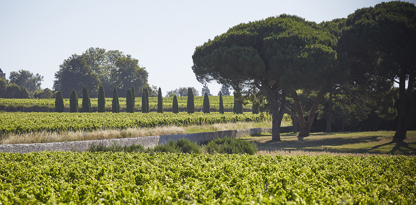 paysage de la petite Toscane
